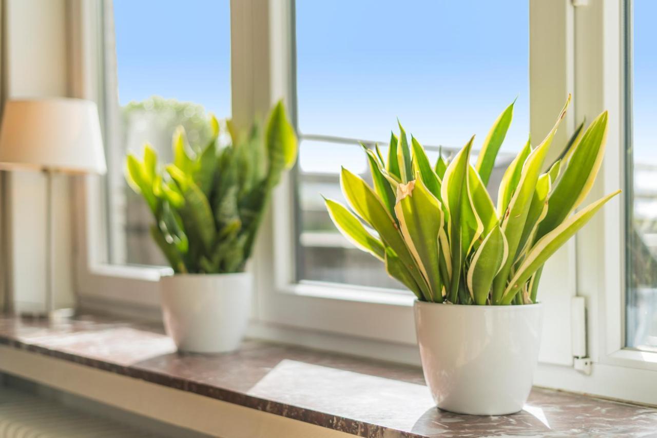 Fuths Penthouse 55 Apartment Antwerpen Ngoại thất bức ảnh